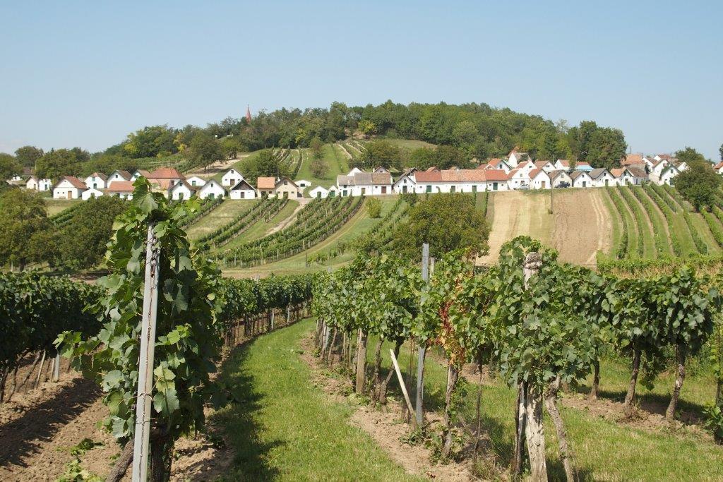 Gaestehaus Weinviertel - Niederoesterreich Siebenhirten Eksteriør bilde